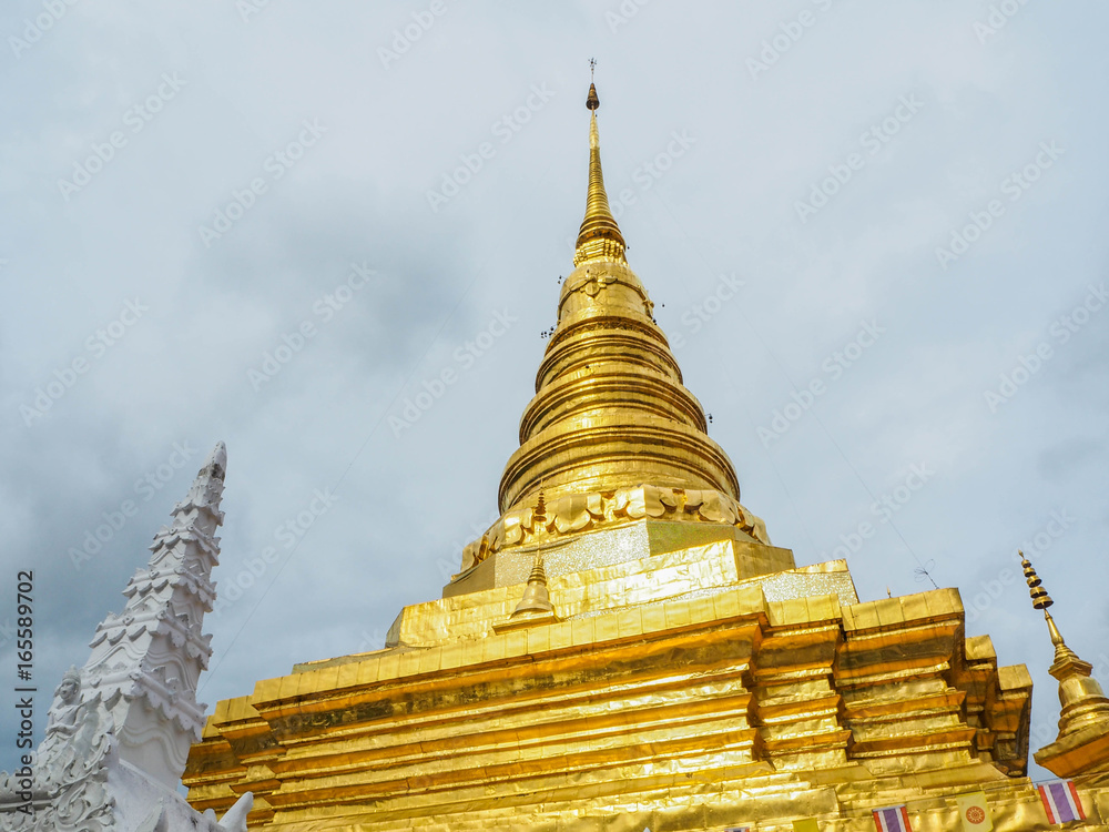 Fototapeta premium OLYMPUS DIGITAL CAMERA