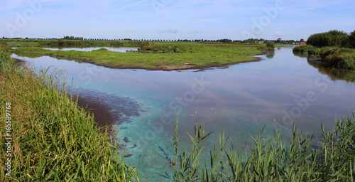 landscape Groene Jonker, Nieuwkoopse Plassen photo