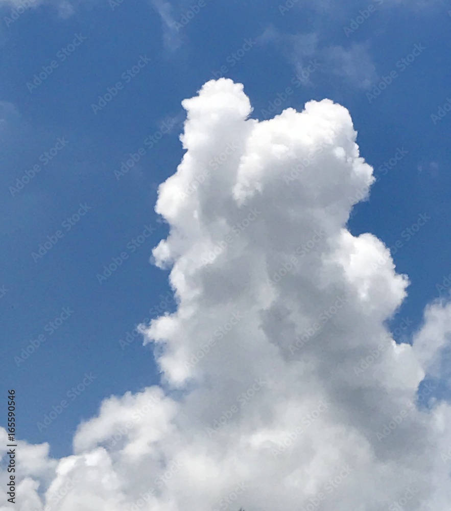 Obraz premium cumulus cloudscape in the blue sky 