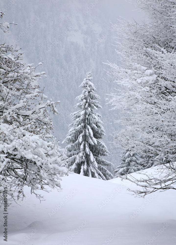 Landscape near Ettal village. Bavaria. Germany