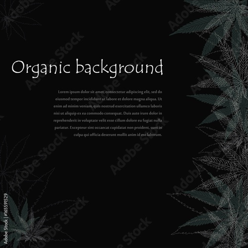 Marijuana Leafs. Cannabis Hallucinations Background. Hand Drawn Weed Leaf. Vector