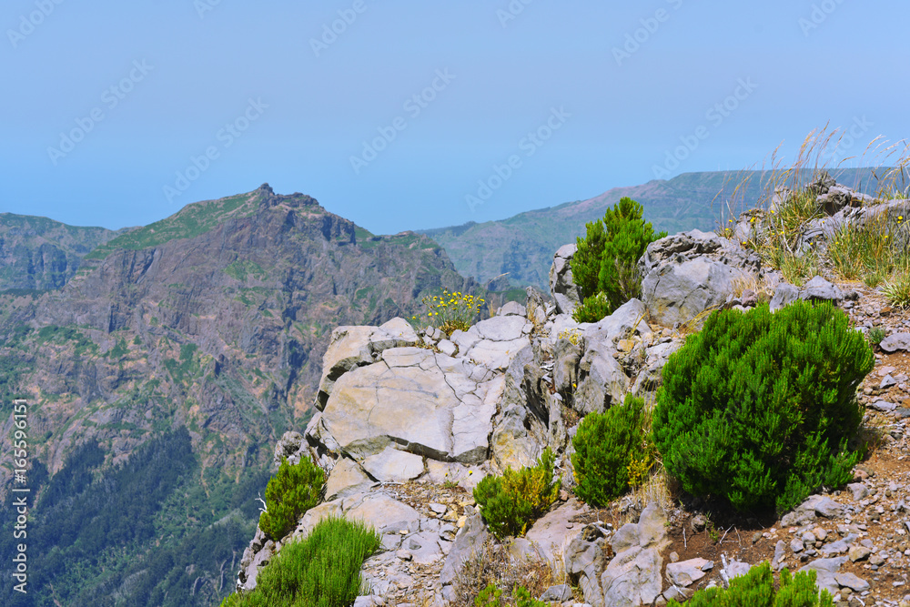 Fototapeta premium The highest Madeira island mountain Pico Ruivo.