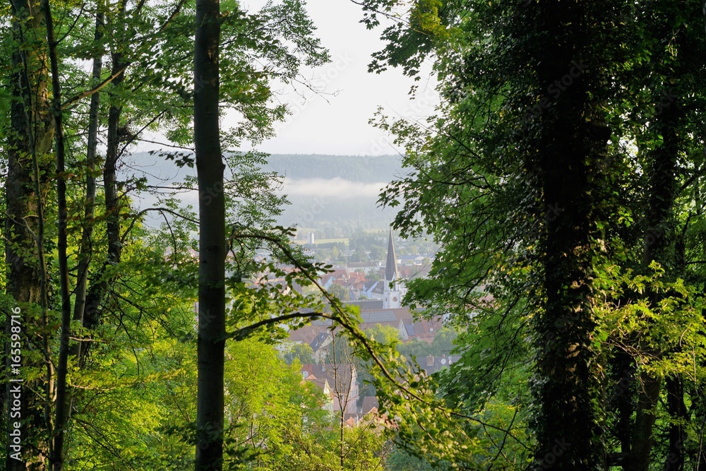 Obraz premium Blick auf die Stadt Tuttlingen von der Ruine Honburg auf dem Honberg