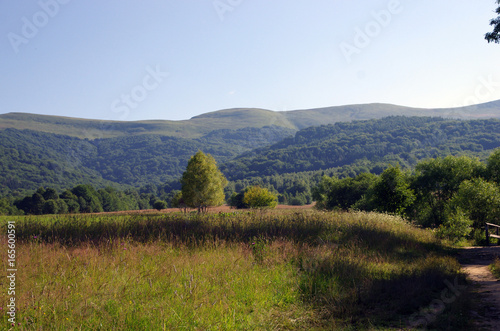 Fototapeta Naklejka Na Ścianę i Meble -  Bieszczady latem
