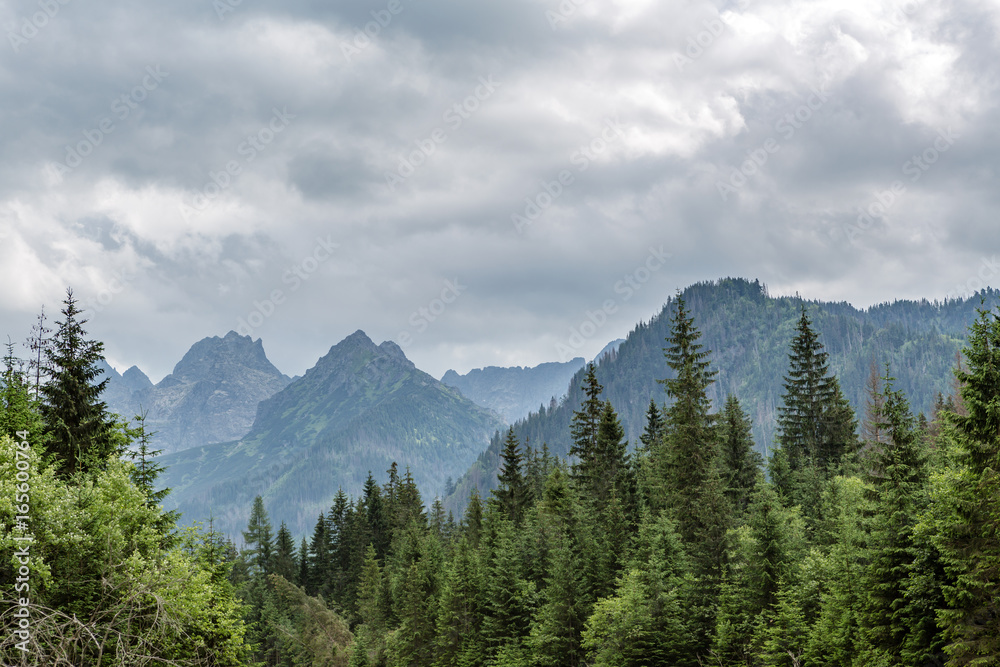 Inspiring Mountains Landscape, cloudy day in summer Tatras