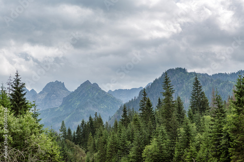 Inspiring Mountains Landscape, cloudy day in summer Tatras