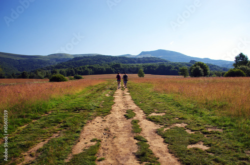 Fototapeta Naklejka Na Ścianę i Meble -  Bieszczady latem
