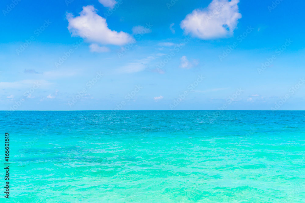 Beautiful tropical Maldives island with white sandy beach and sea .