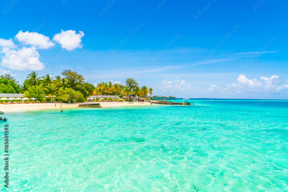 Fototapeta premium Beautiful tropical Maldives island with white sandy beach and sea .