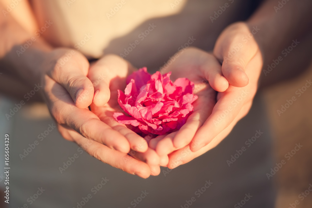 Couple holding flower, romantic date. Couple holding flower, romantic date.