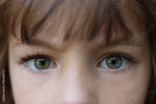 Close up of a young brown haired girl with piercing green eyes