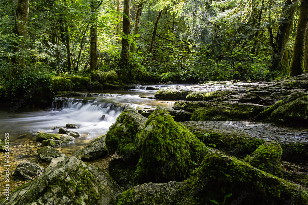 Waterfalls of the river Le Hérisson, in the French Jura