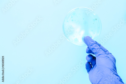 Hand of scientist holding Petri dish under uv light
