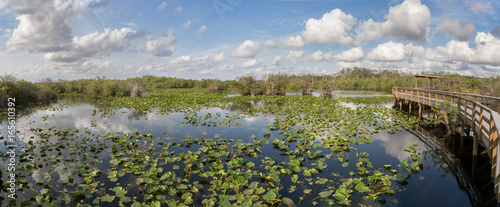 Anhinga trail, Everglades National Park, Florida