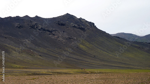 typische endlos weite und karge Landschaft in Island