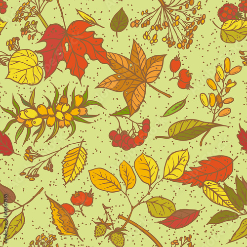 Vector seamless pattern sketch branches with autumn leaves, dried flowers and ripe berries. Colourful herbal graphics. Elements september or october leaf fall and harvest on light green background