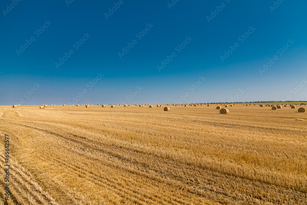 a stack of hay. Haystacks.Farming