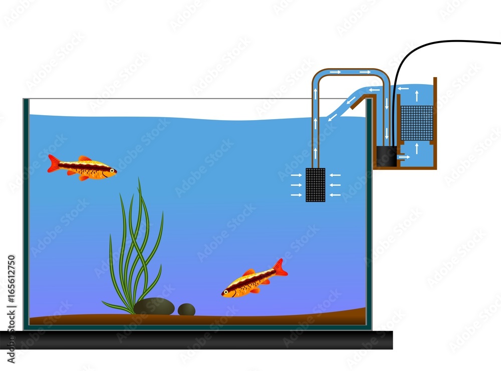 Aquarium equipment. Aquarium Waterfall Style Bio Filter. Vector  illustration. Terrarium equipment. Stock Vector