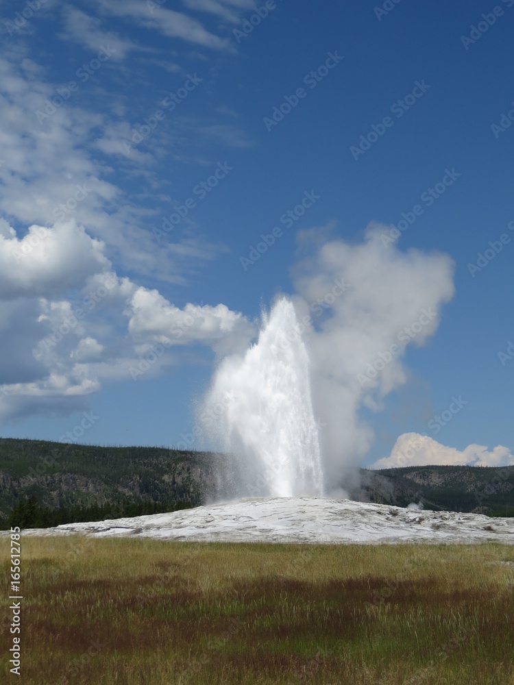 Old faithful geyer in yellowstone national park