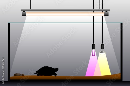 Terrarium equipment. Schematic representation of the terrarium. Vector illustration.

