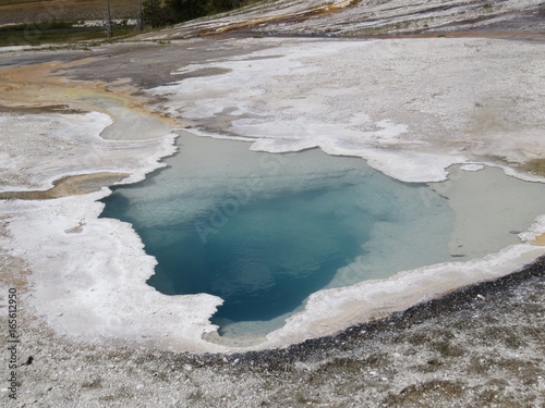 Hot steaming geyser in yellowstone national park