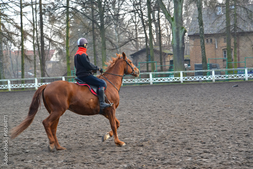 The equestrian sits on a horse of trakenensky breed. Poland, Kentshin