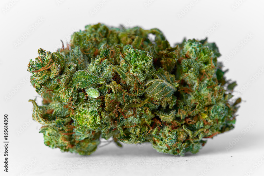Close up of medical marijuana Presidential OG strain bud isolated on background Close up of medical marijuana Presidential OG strain bud isolated on background