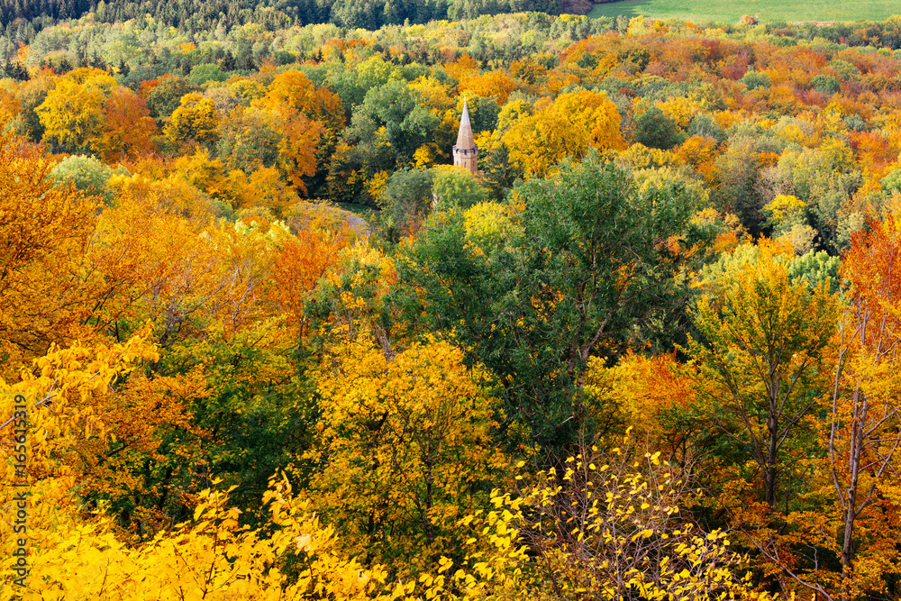 Herbstwald mit Turm