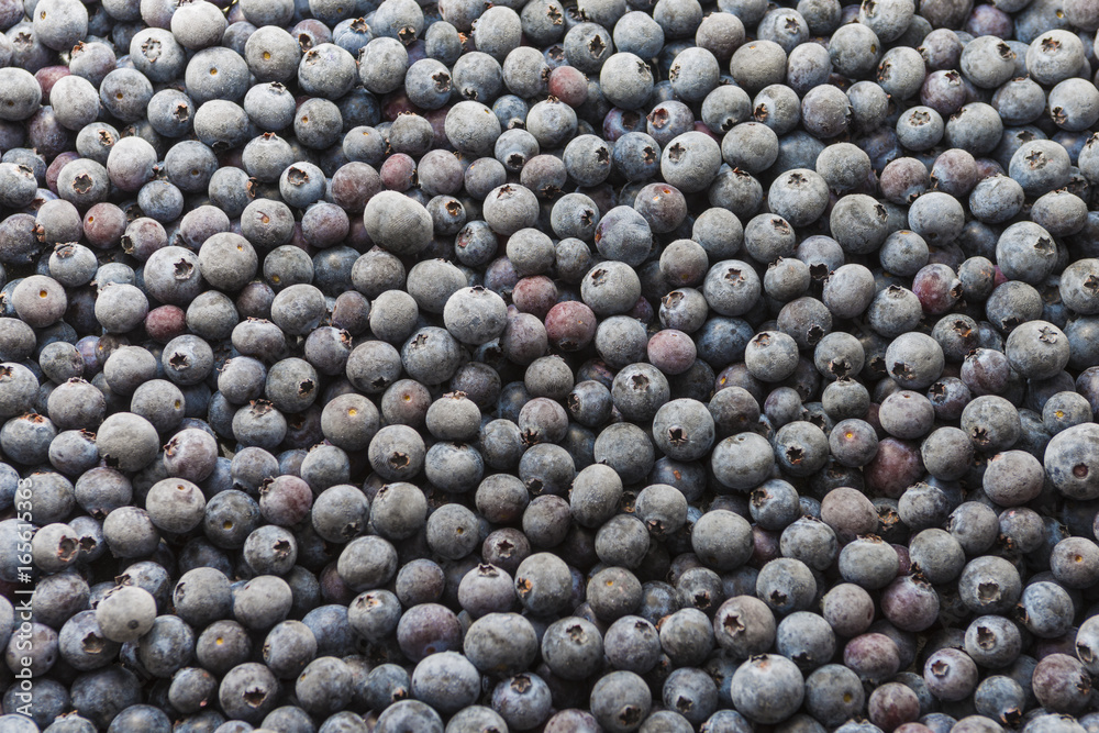 Frozen blueberry fruit food round background pattern blue purple texture Frozen blueberry fruit food round background pattern blue purple texture