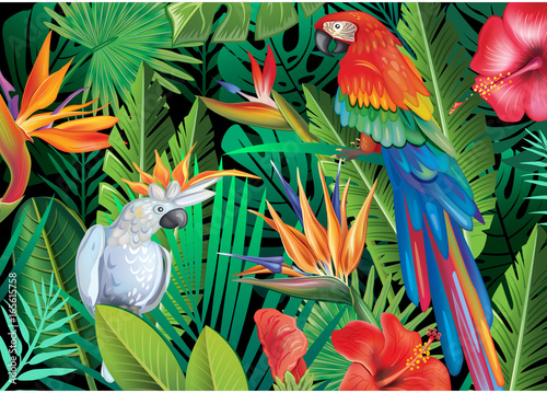 Parrots with tropical plants
