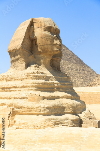 sphinx