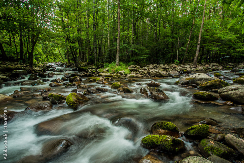 Obraz premium Smoky Mountain Streams