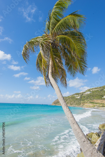 Beach vacation background scenic landscape at the sea with palm trees and blue teal water