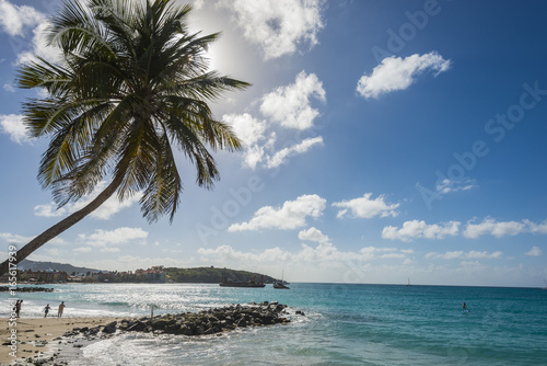 Beach vacation background scenic landscape at the sea with palm trees and blue teal water