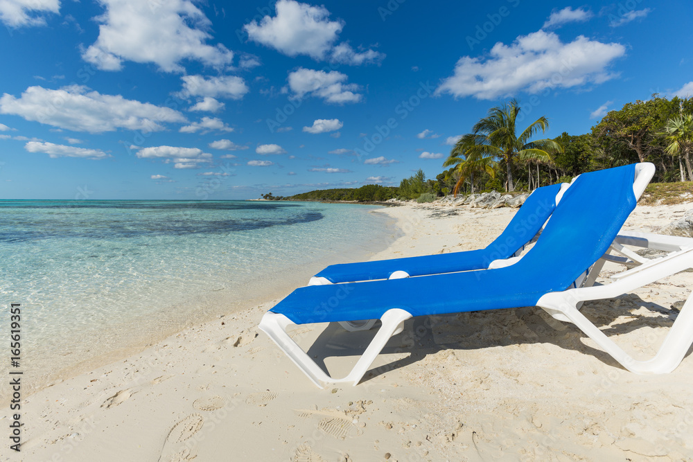 Beach vacation background scenic landscape at the sea with palm trees and blue teal water Beach vacation background scenic landscape at the sea with palm trees and blue teal water