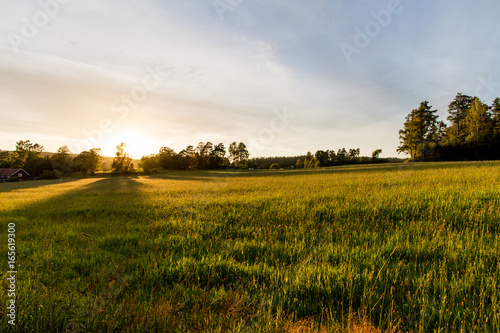 Sunset over agricultural landscape