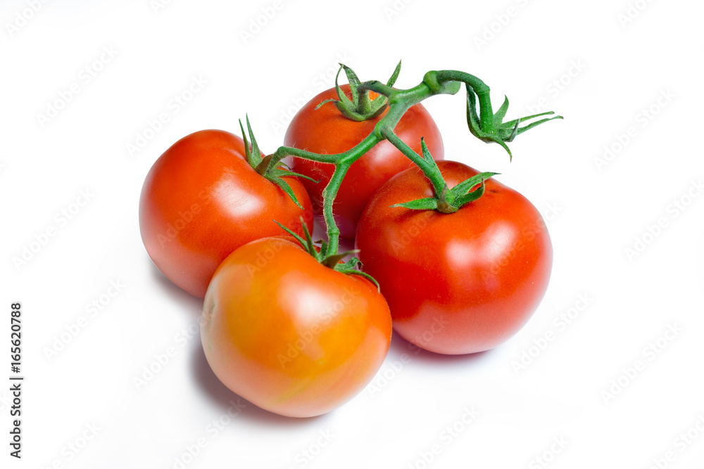 Fresh tomatoes on white background