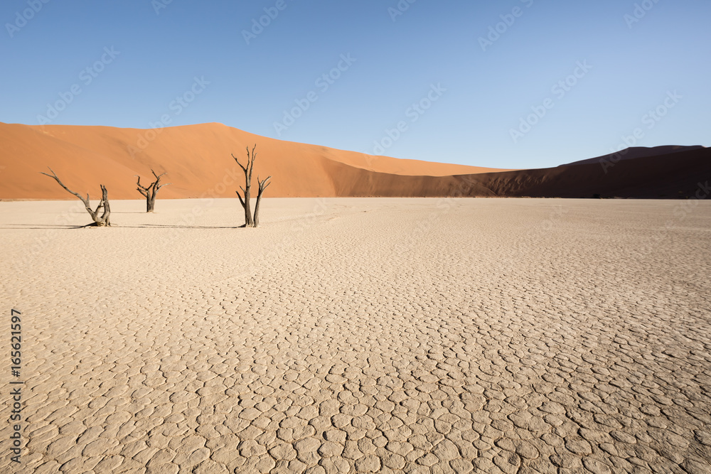 Desert Lake Desert Lake