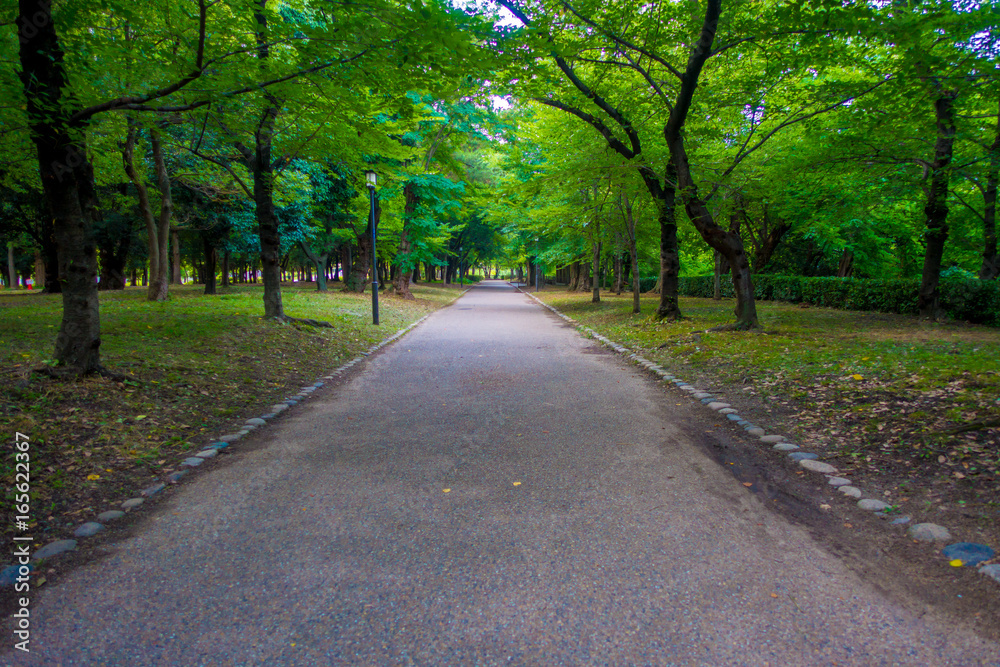 Pavement path in a park near of the Osaka Castle in Osaka, the castle is one of Japan's most famous landmarks