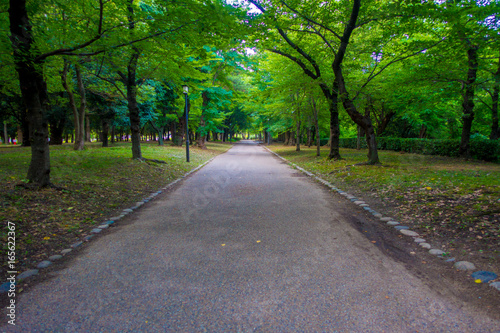 Fototapeta Naklejka Na Ścianę i Meble -  Pavement path in a park near of the Osaka Castle in Osaka, the castle is one of Japan's most famous landmarks