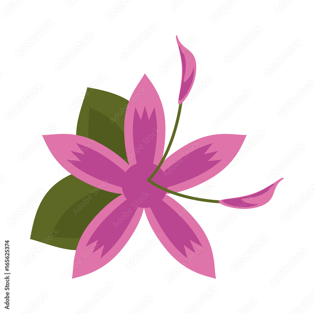 delicate flower icon image delicate flower icon image
