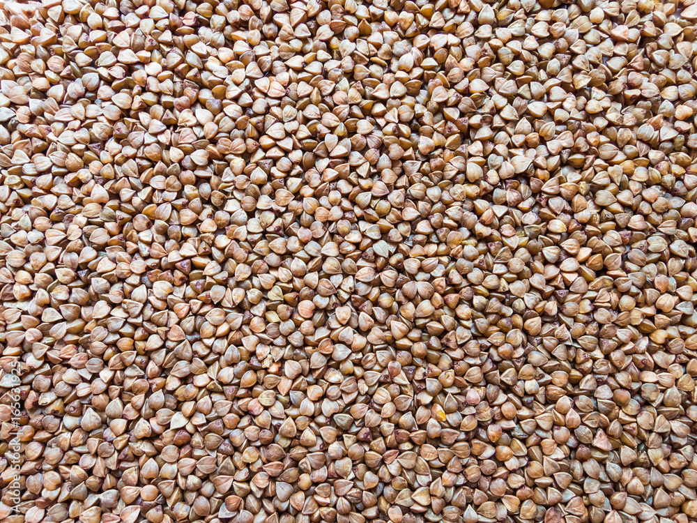 Buckwheat grain Buckwheat grain