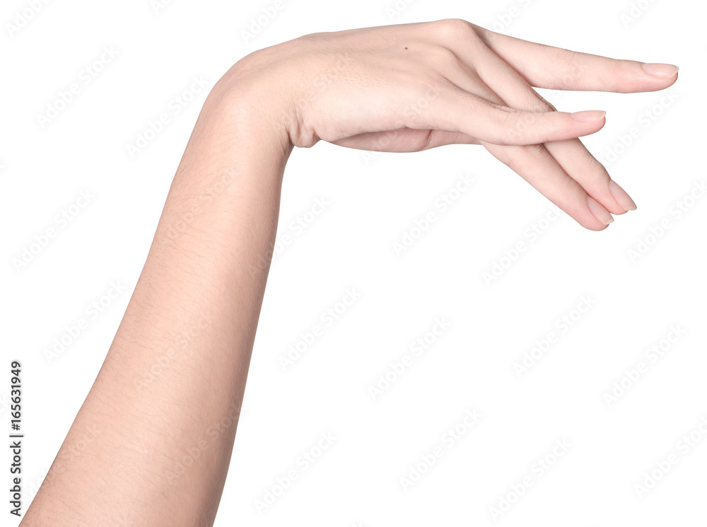 beauty woman hand isolate is on white background with clipping path beauty woman hand isolate is on white background with clipping path