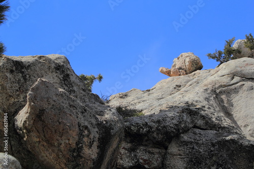 Turtle-shaped Rock in Mt. San Jacinto State Park