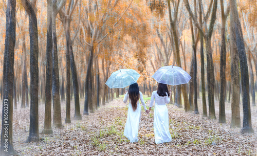Wallpaper Mural Dong Nai, Vietnam - March 19th, 2017: Two Vietnamese girl in traditional long dress or Ao Dai go to the end of the road in rubber forest expressing sometimes happy old age in Dong Nai, Vietnam. Torontodigital.ca