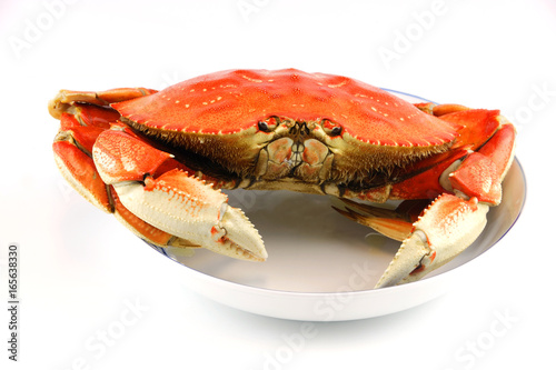single steamed crab in the plate isolated on white background