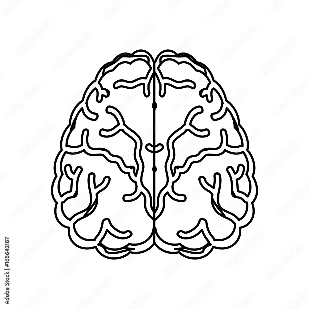 Human brain symbol