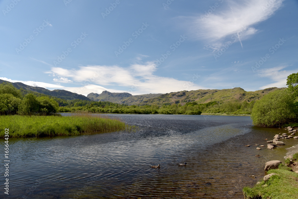 River Brathay near Elterwater, English Lake District