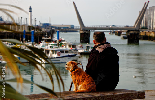 Dog and his owner sitting on a bench