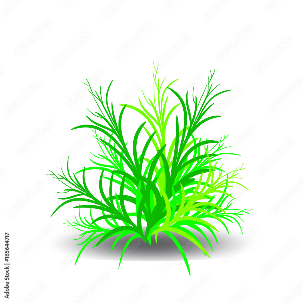 Green bush, cartoon on white background. Green bush, cartoon on white background.